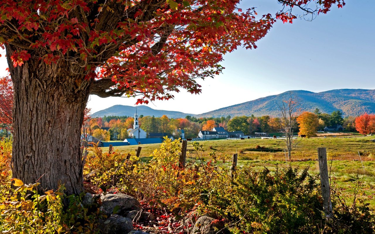 Amherst
