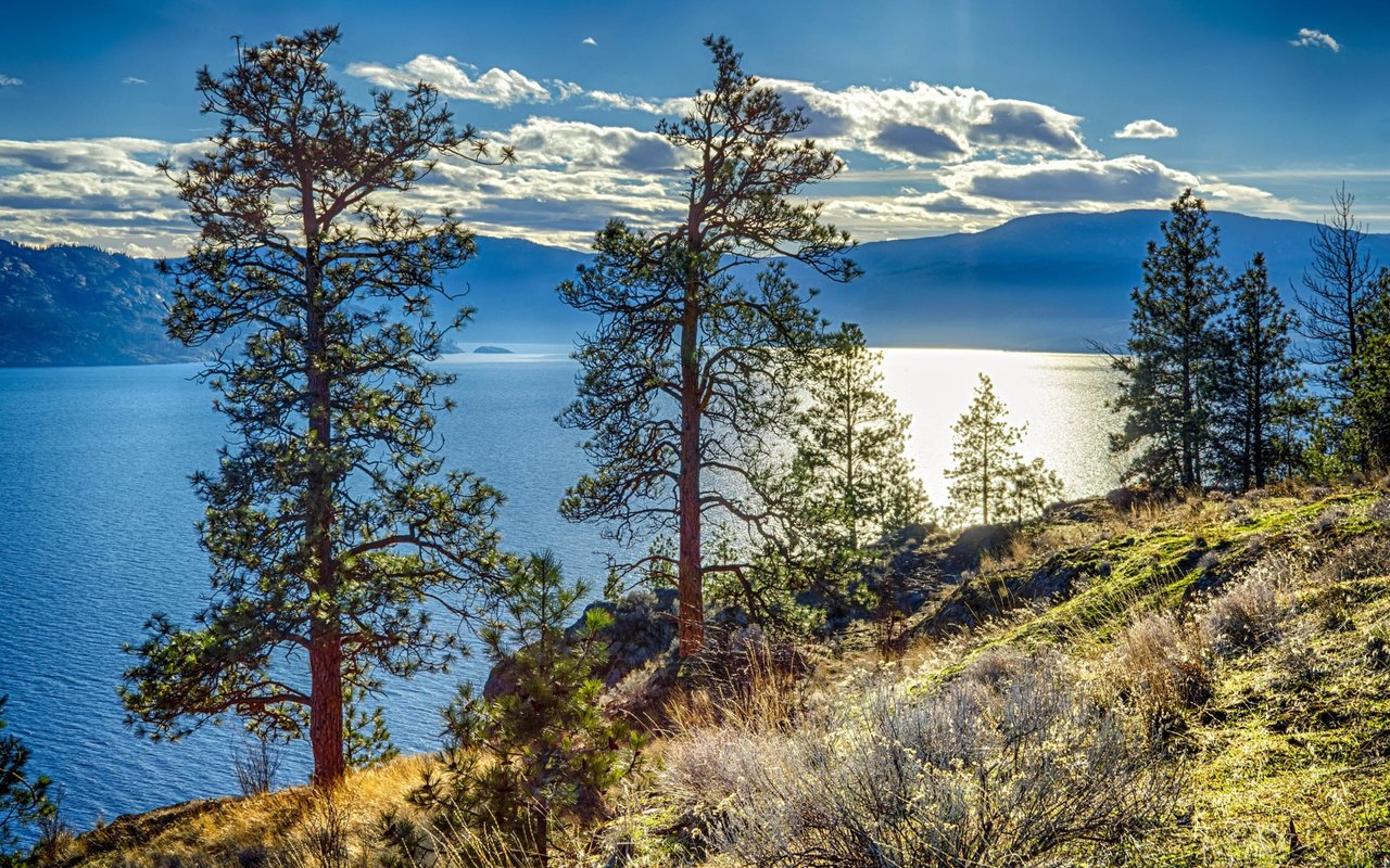 The Kelowna Rennie Review | September 2025