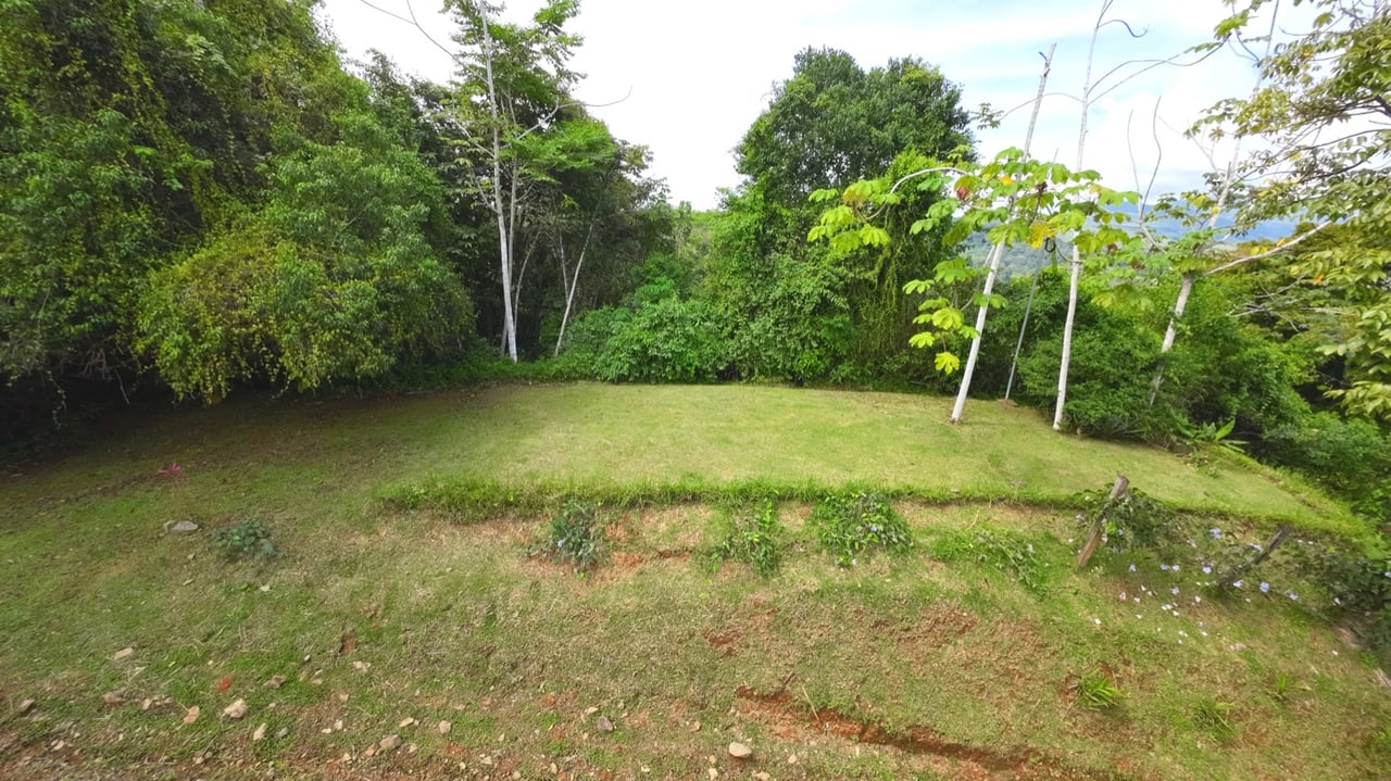Valley of Dreams - A Beautiful Multi-Use Property Near Cacao Ridge, 10.85 Acres at a Phenomenal Price!