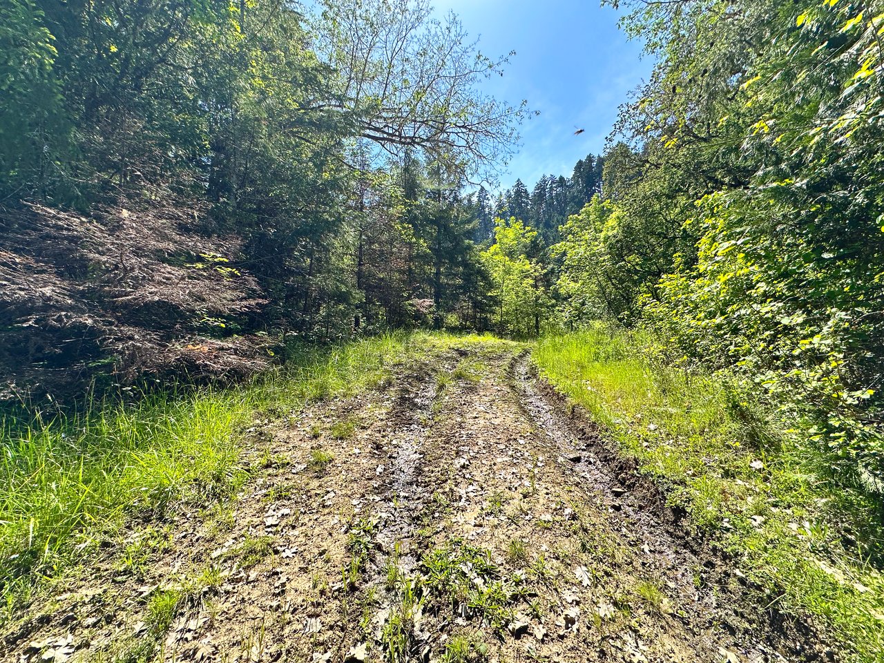 WAGON ROAD HOMESTEAD
