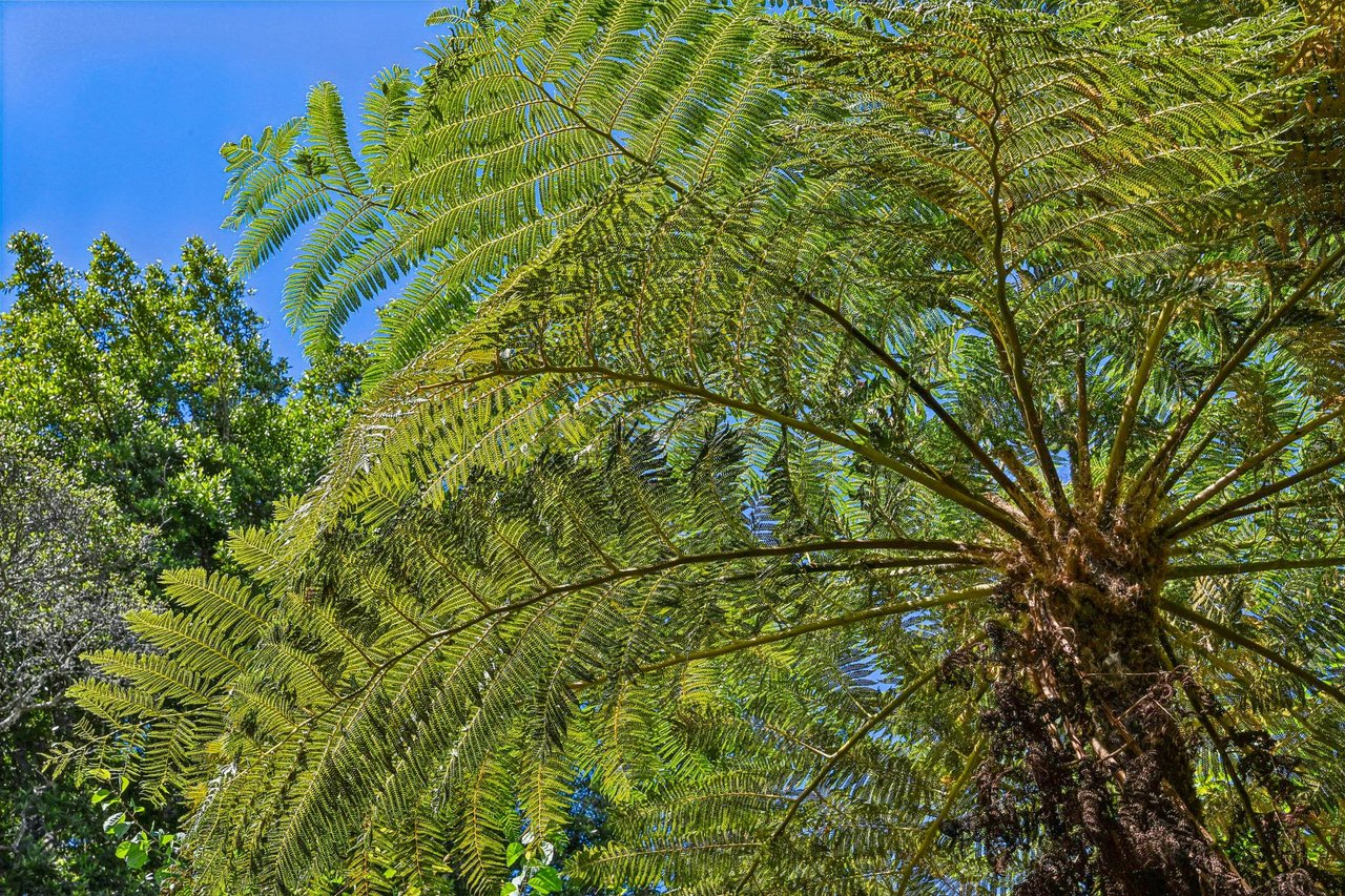 17 Heron Drive | Strawberry