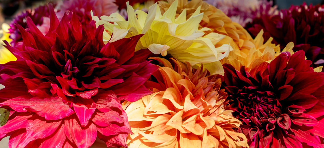 6 Creative Ways To Celebrate National Small Business Week