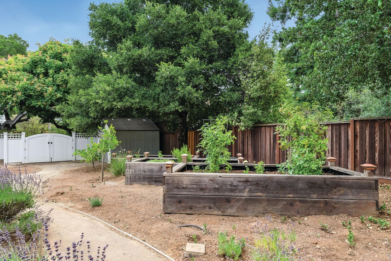  A Jewel in Silicon Valley's Crown