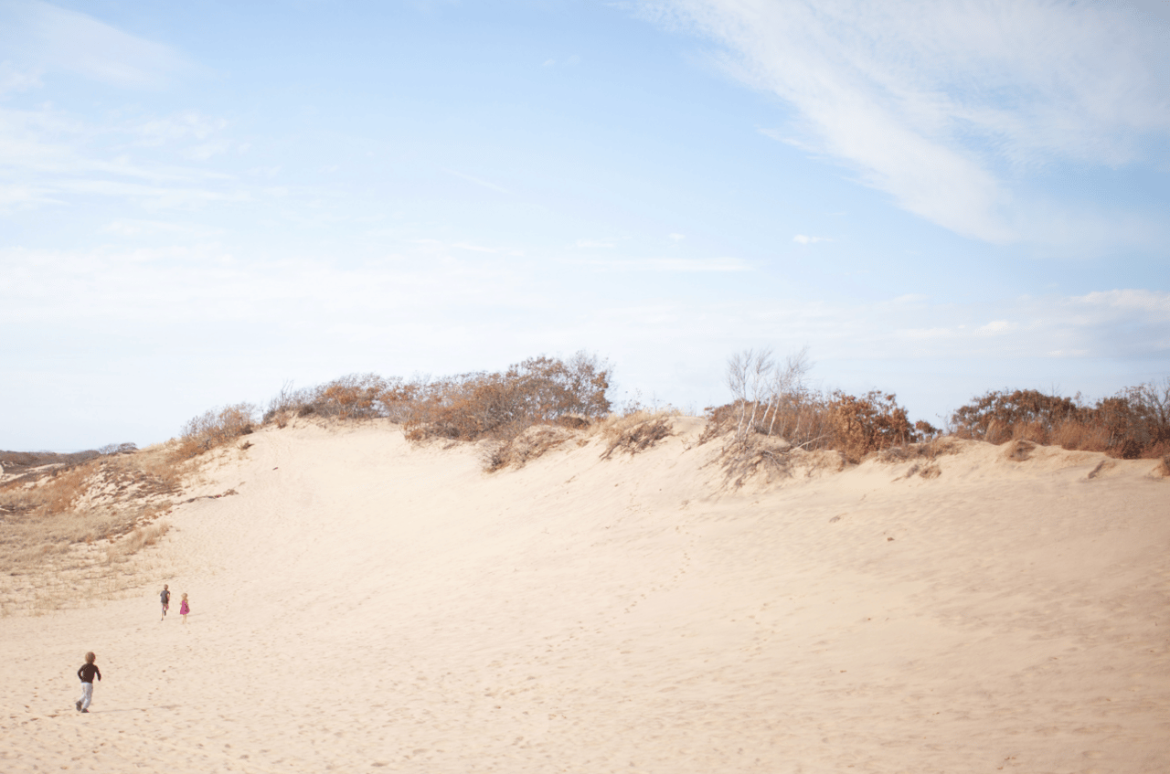 People walk across a broad sandy dune bordered by autumn shrubs.