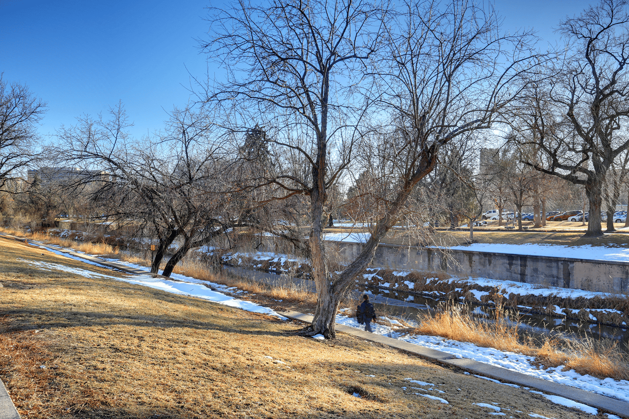 300 W. 11th Avenue #14B, Denver, CO 80204