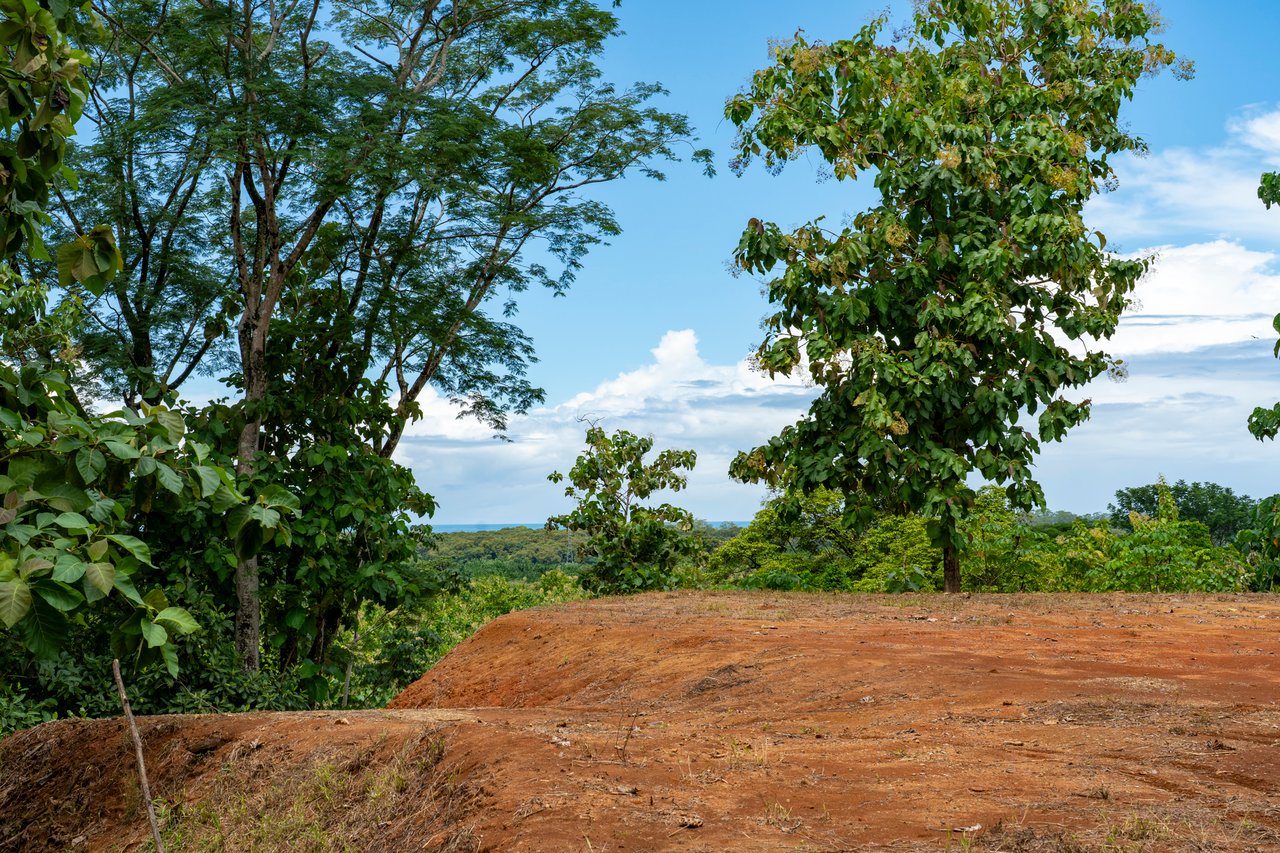 New Gated Development in Matapalo - Ocean View and Flat Land, ready to build!