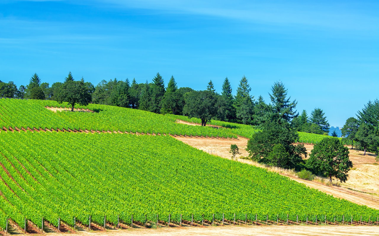 Mcminnville