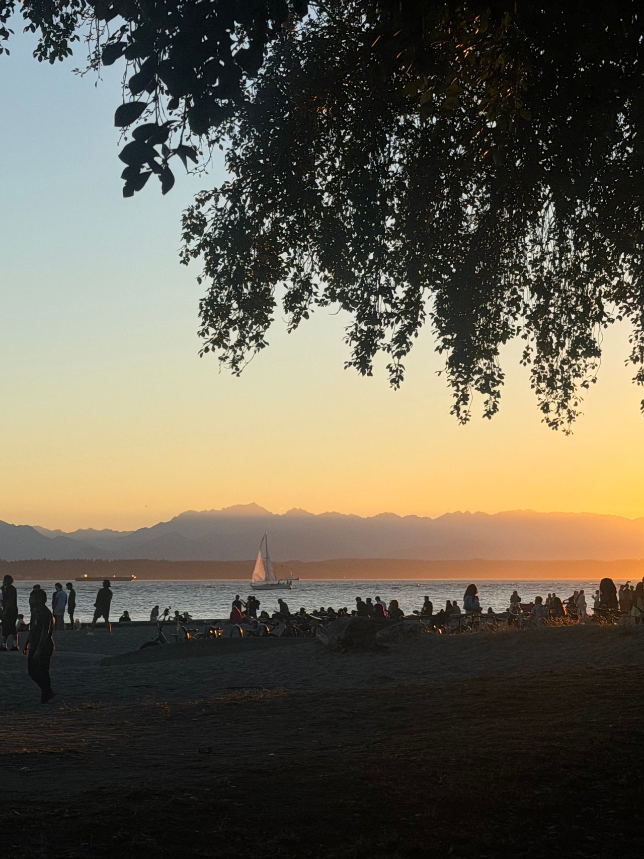 Newsletter - August 2026