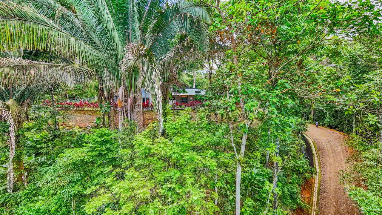 Modern 3-Bed Jungle Home with River and Pool in Cinco Ventanas Ojochal
