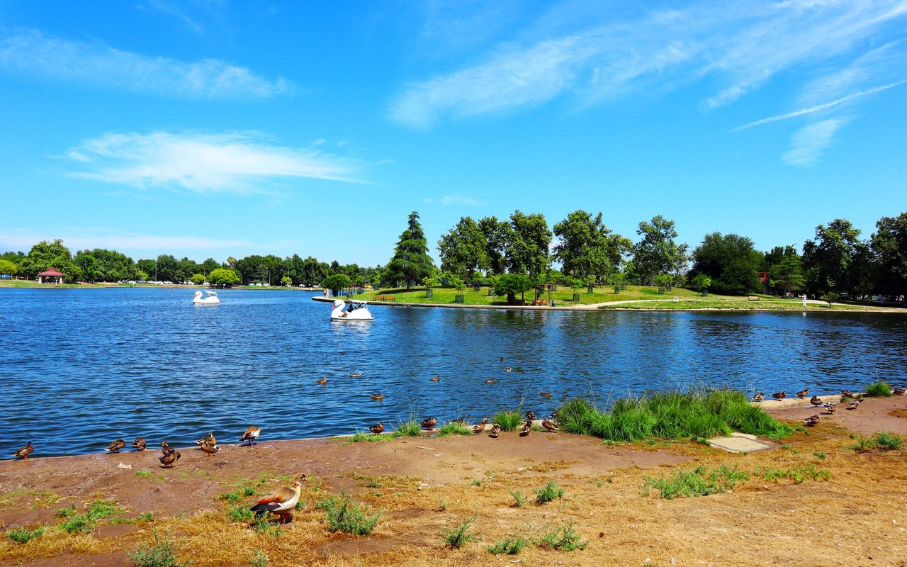 Lake Balboa