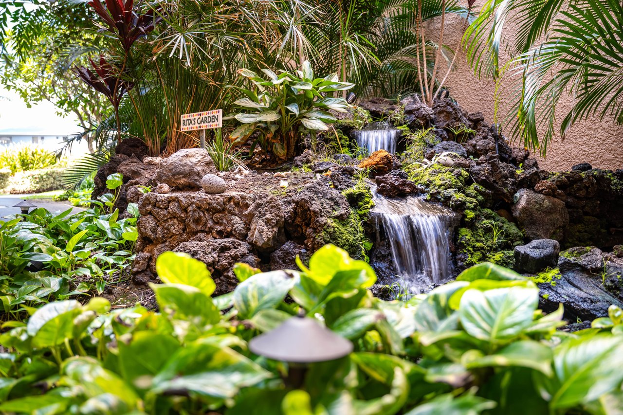 Maui Vista