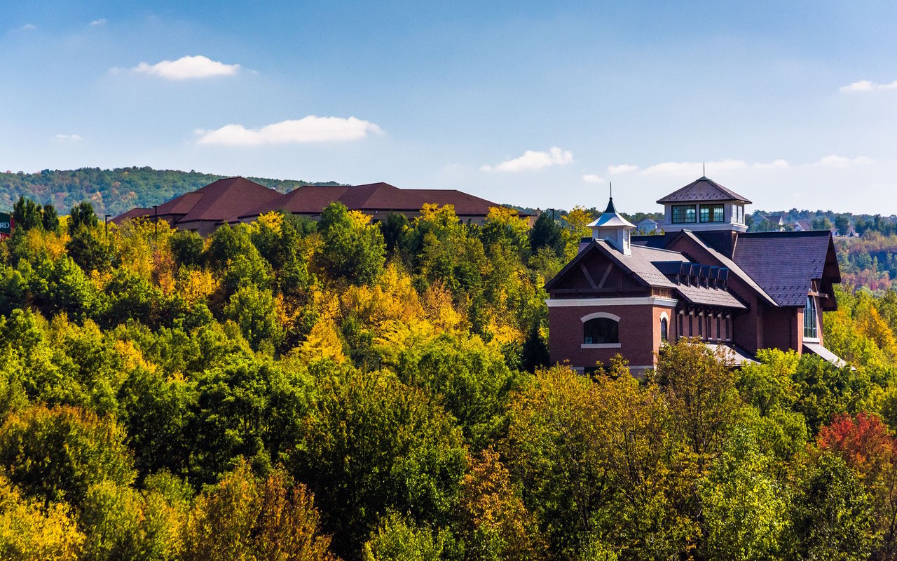 Tannersville