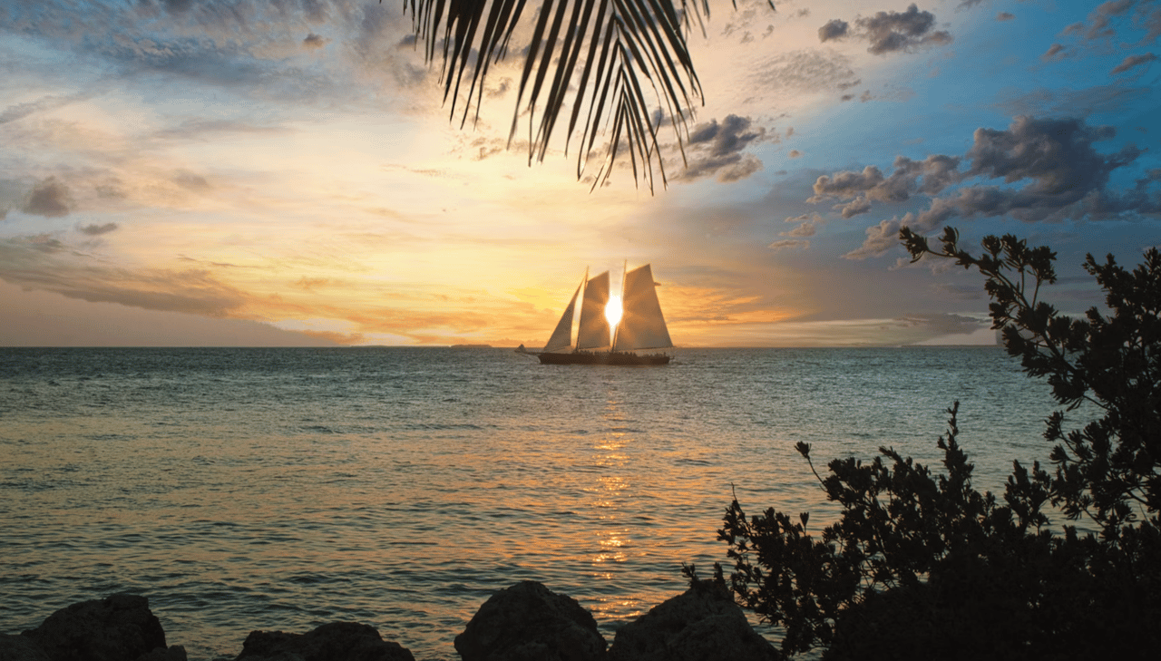 Sailboat crossing the ocean at sunset, framed by palm fronds and shoreline plants.
