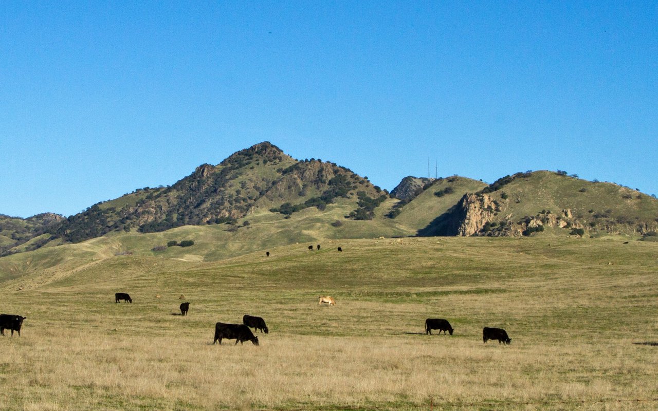 Sutter County