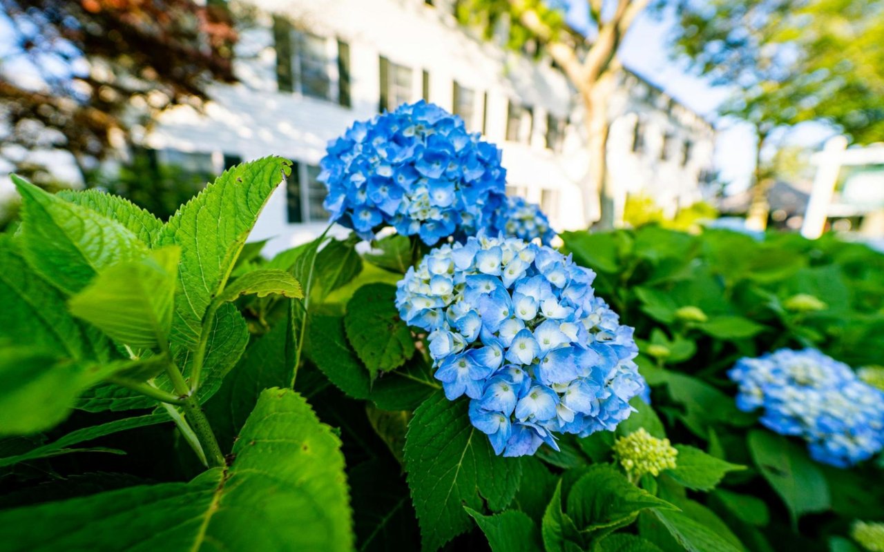 How to Renovate Your Backyard to Increase Home Value