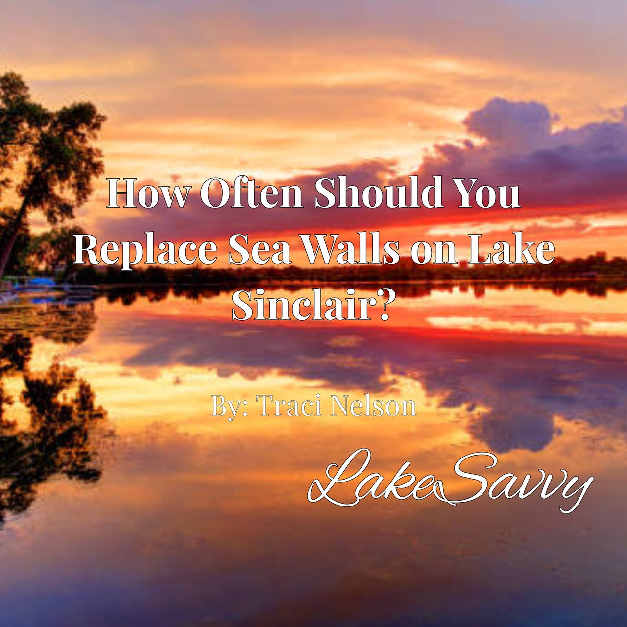 How Often Should You Replace Sea Walls on Lake Sinclair?