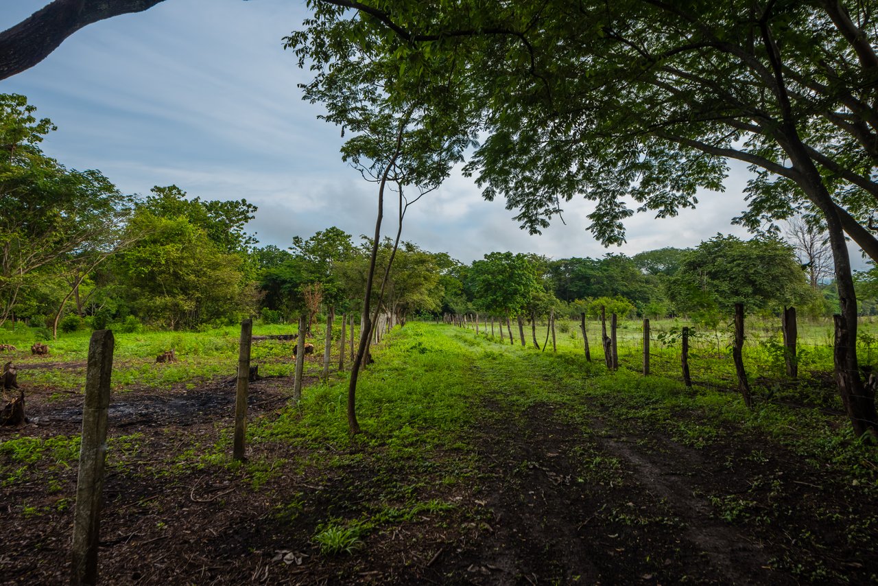 La Garita de Tamarindo Lot |1.3-Acre Home Site Near Top Beaches, Private, Scenic, and Well-Located