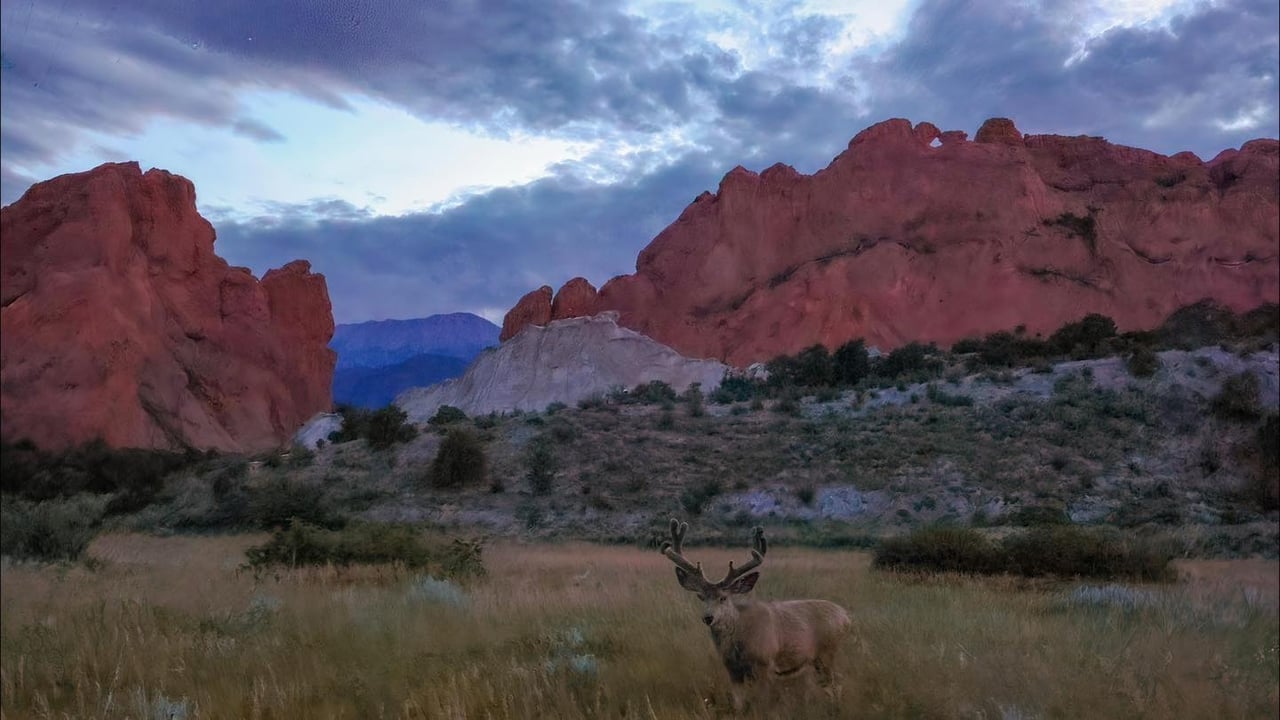 Garden of the Gods: Where Colorado Springs Comes Alive