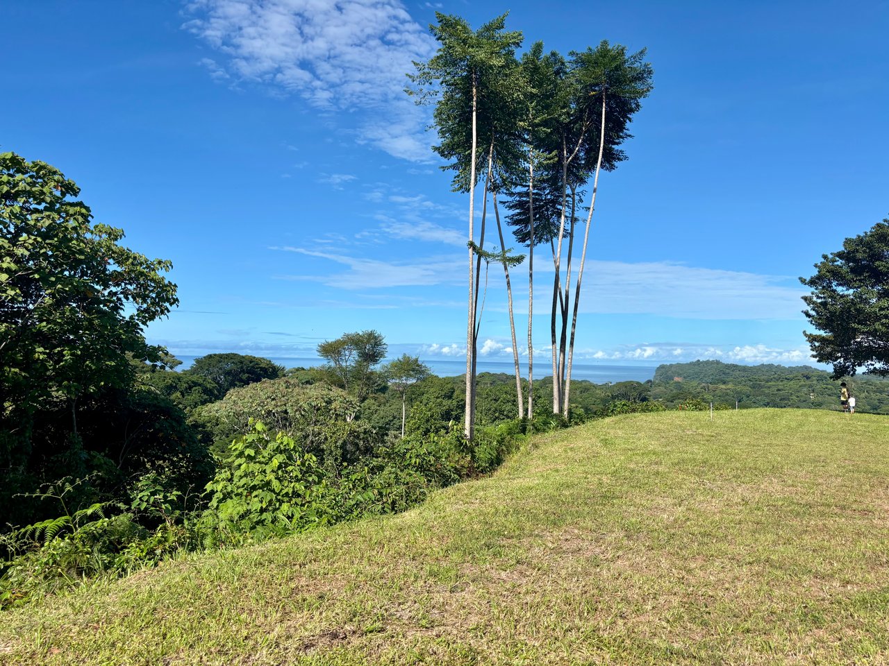 Two Large Building Sites with Stunning Sunset Ocean View. Ready to Build!