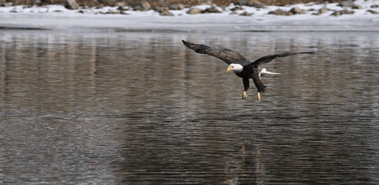Is Your Lake Home in the Top Tier of Its Own Lake?