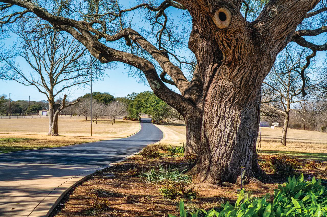 Summers Mill Ranch: A Texas Legacy Estate