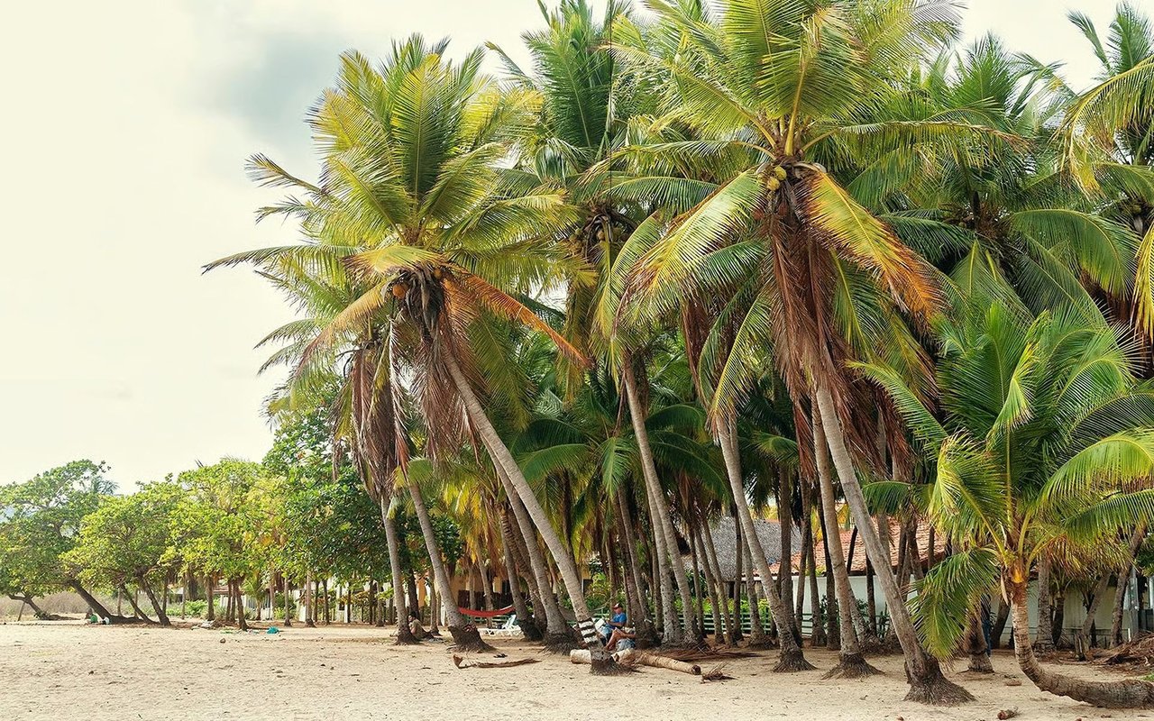 Playa Grande