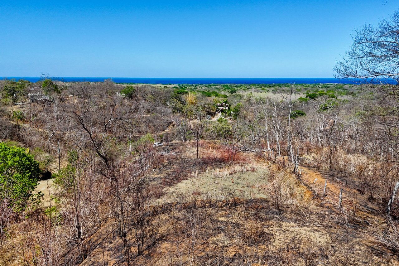 Finca Los Pargos Lot – Oceanview lot with water!, Playa Negra, Guanacaste