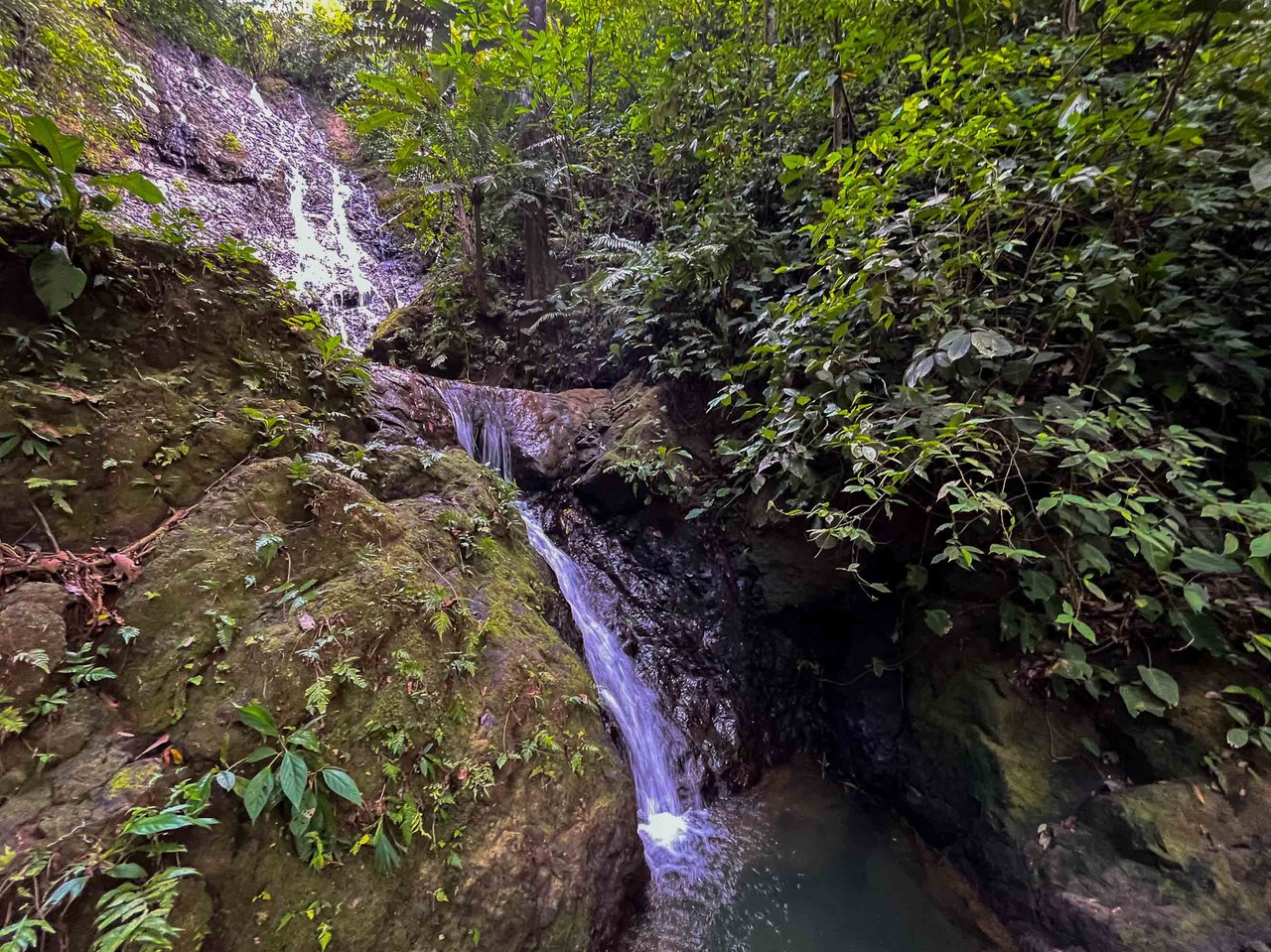 Waterfall Home in Private Community Affordable Jungle Home