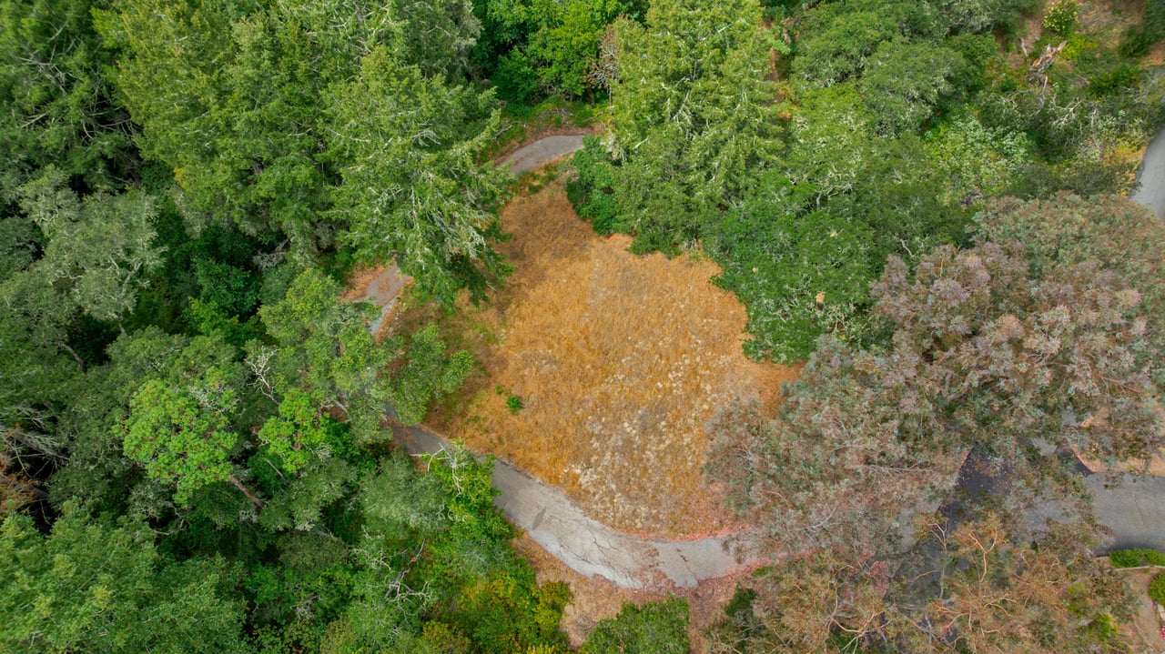 Rare Redwood Acreage in Scotts Valley