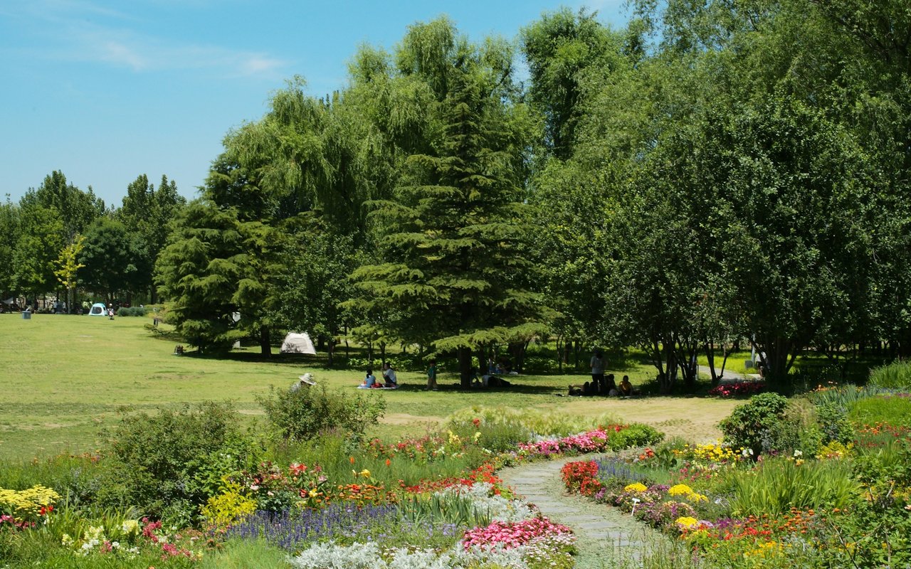 Sunny park with a broad lawn, mature trees, and colorful flower beds bordering a path.