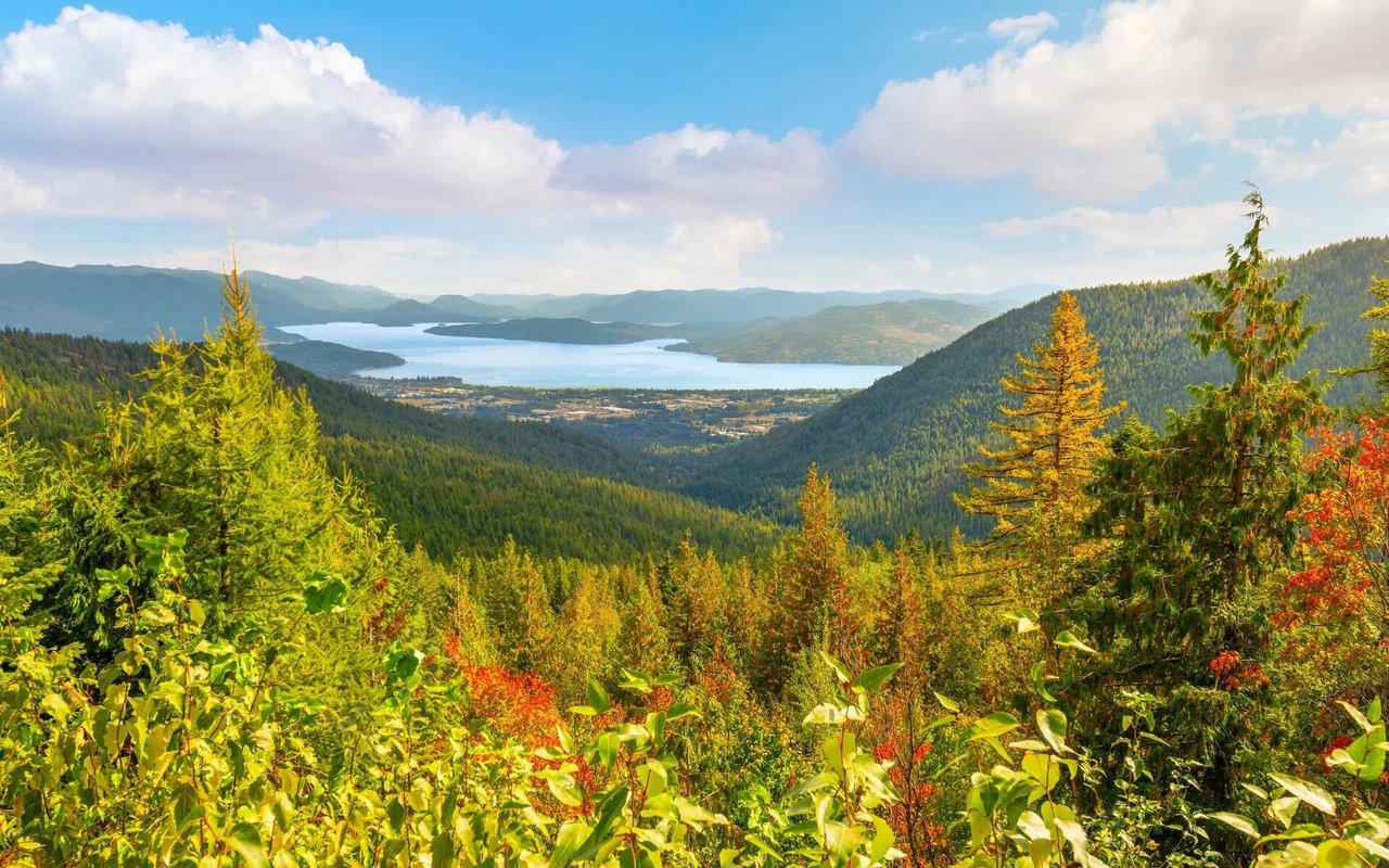 Sandpoint