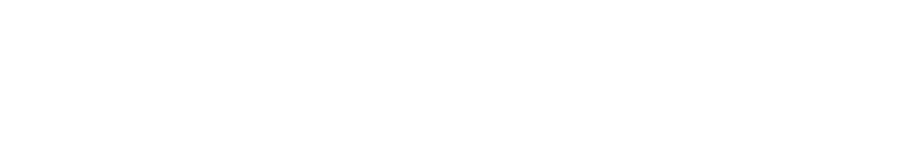 Light Logo