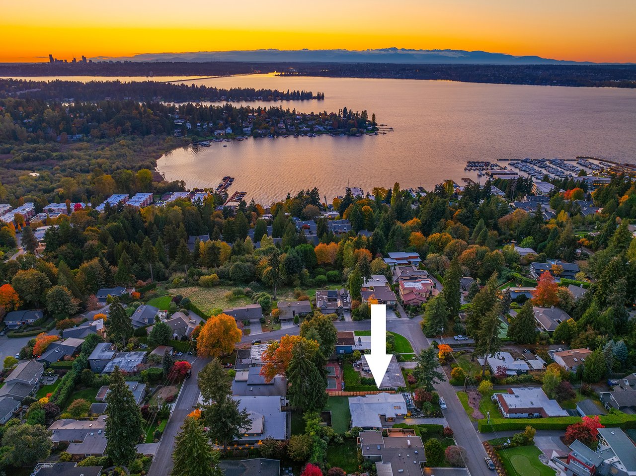 10517 NE 46th Street