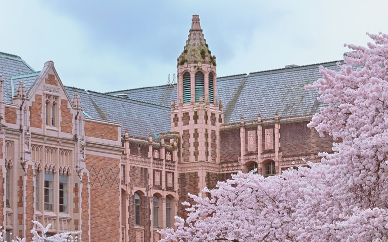 the seattle rennie review | April 2026