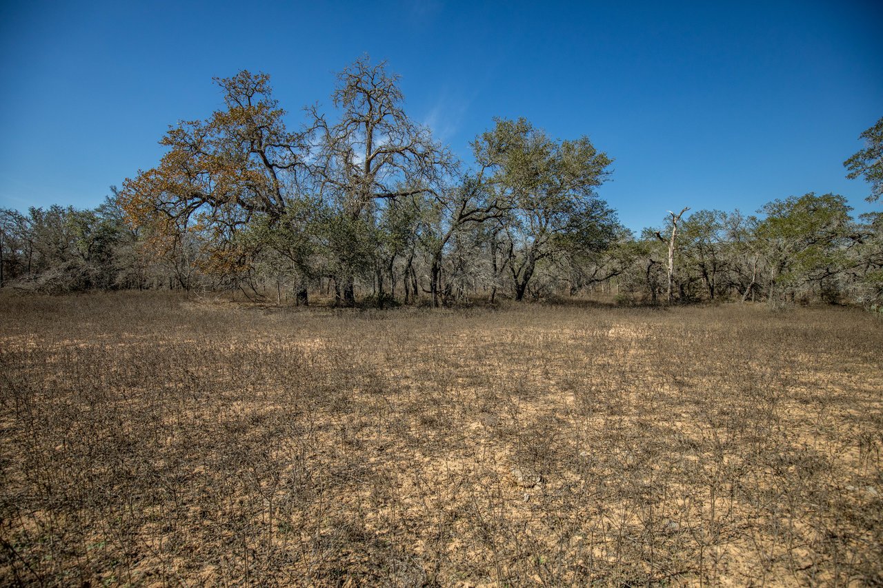 Whispering Pines Floresville Ranch | 298± Acres | Wilson County