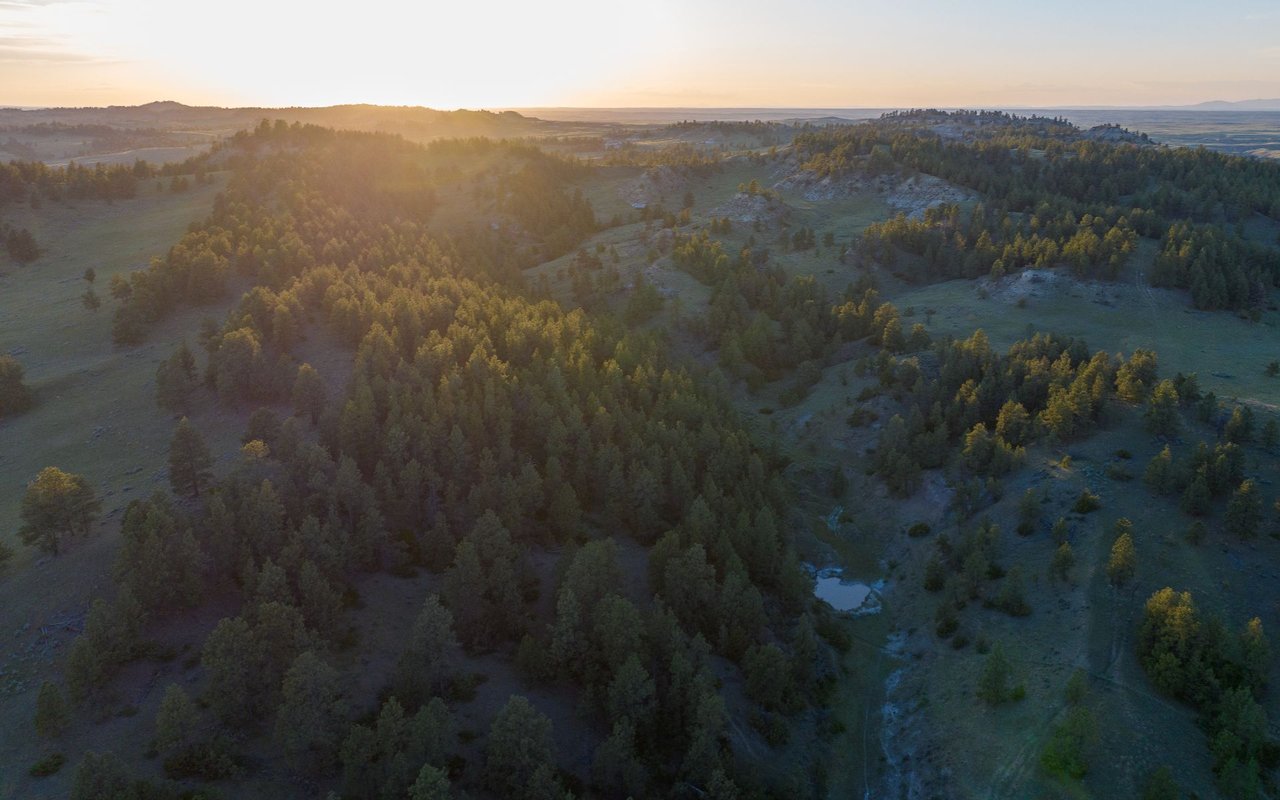 Elk Rich Ranch