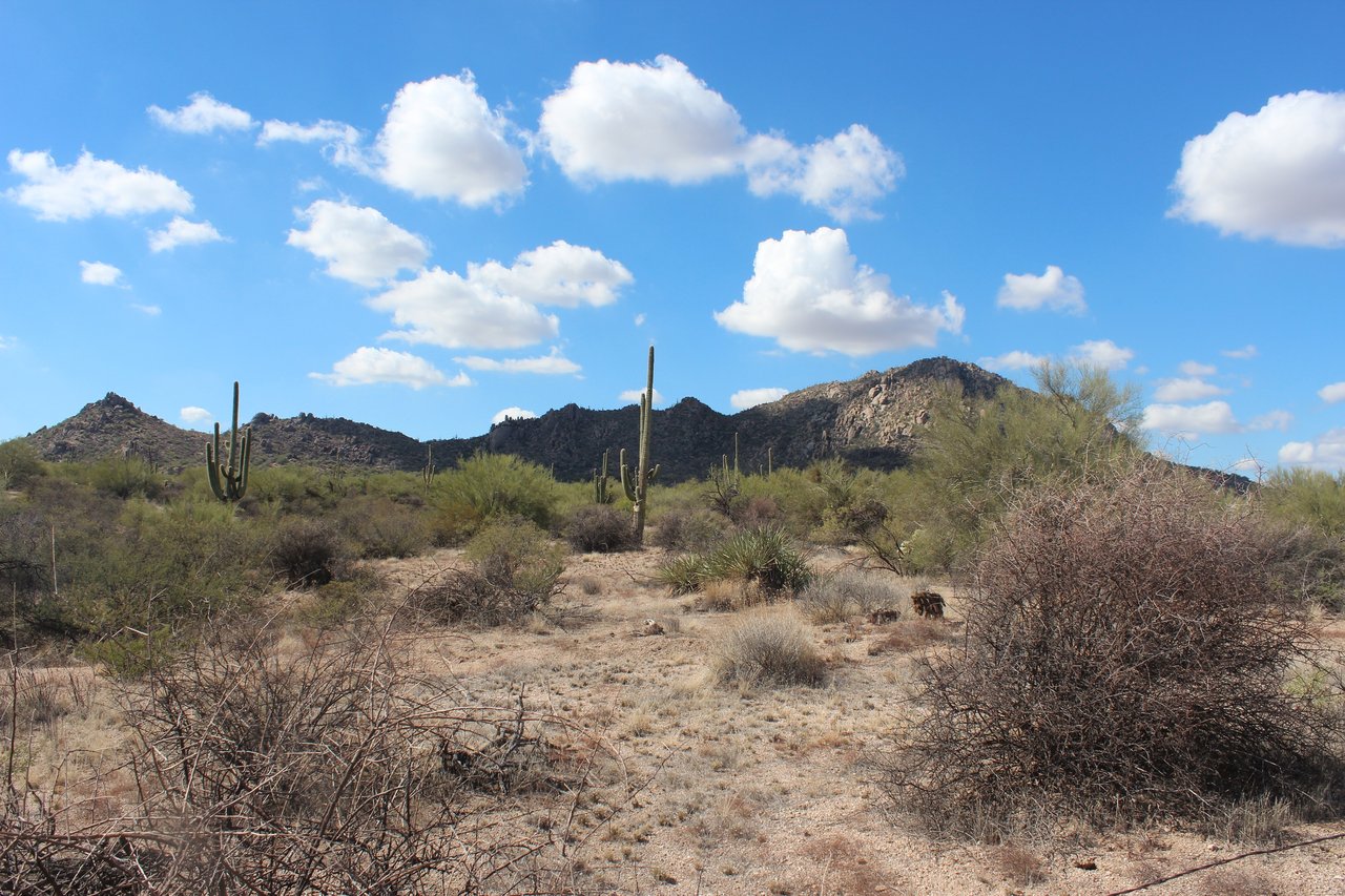 Gold Canyon Real Estate - Superstition Mountain Golf 