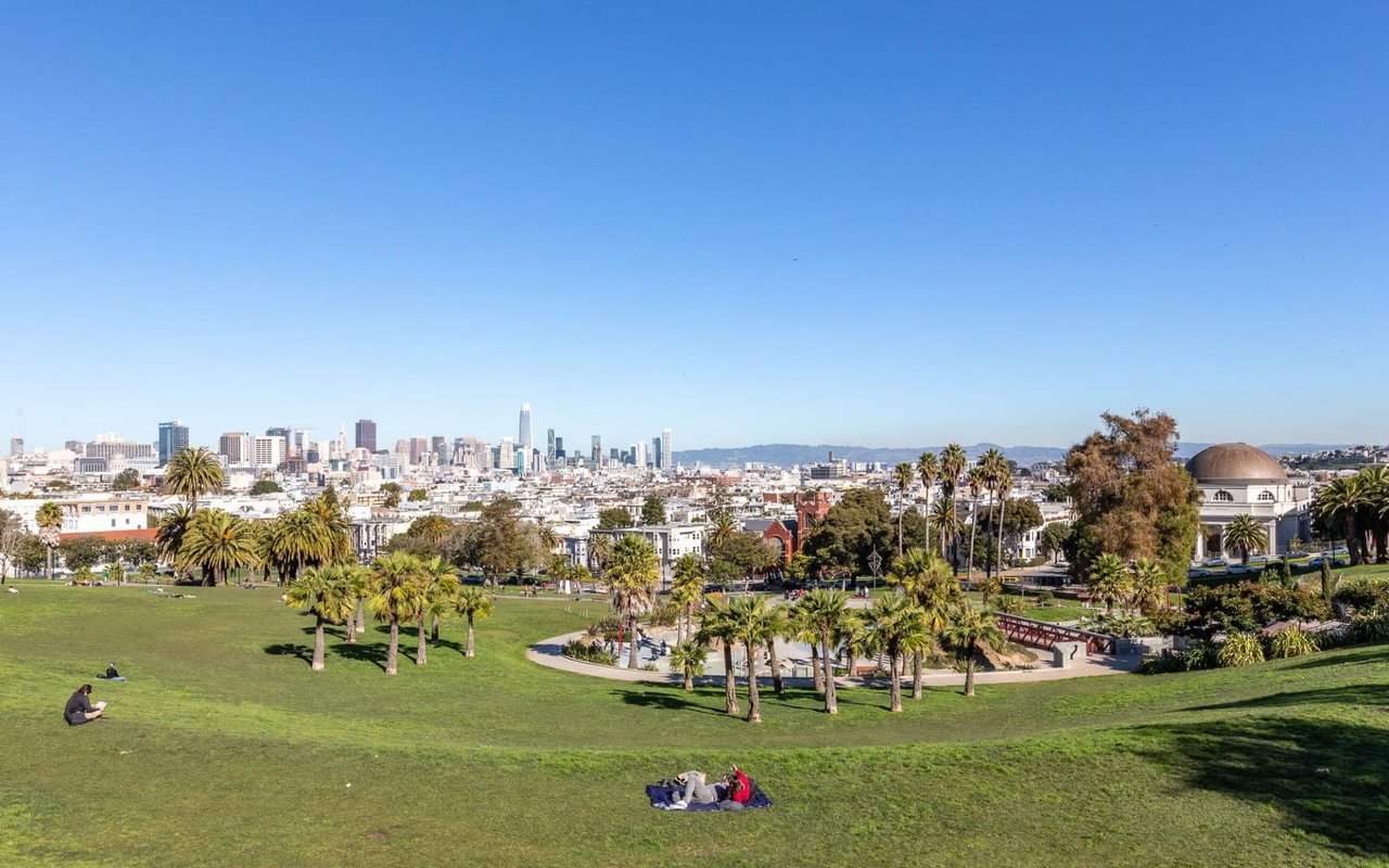 Dolores Park lawn with palm trees and the San Francisco skyline beyond.