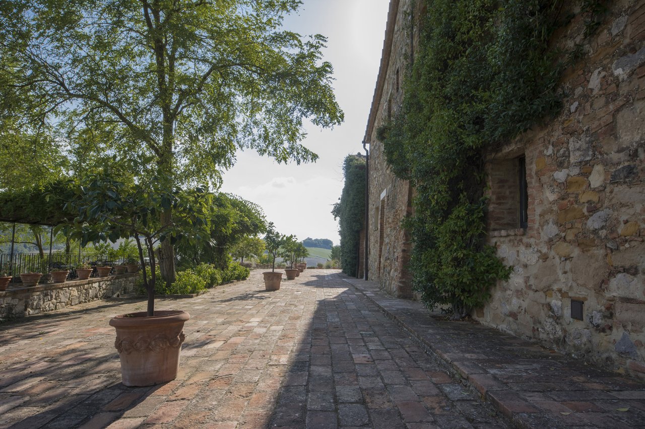Tenuta Malacoda; Wine & Agricultural Estate
