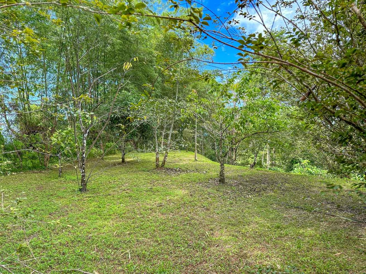 Ocean, jungle & mountain views on a meticulously landscaped 3-home family compound