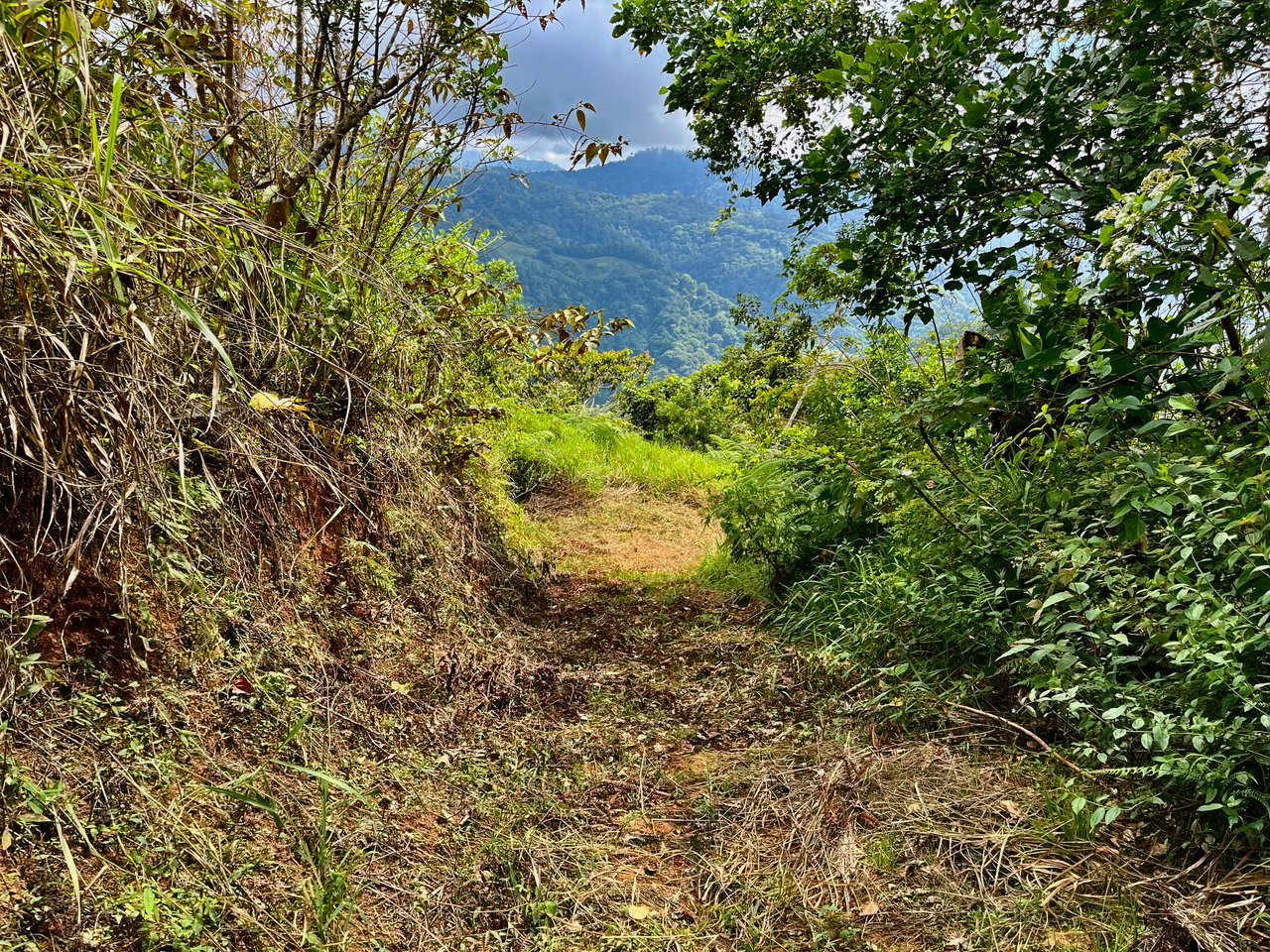 San Luis Ridgetop Ocean & Mountain View Property with Multiple Building Sites!