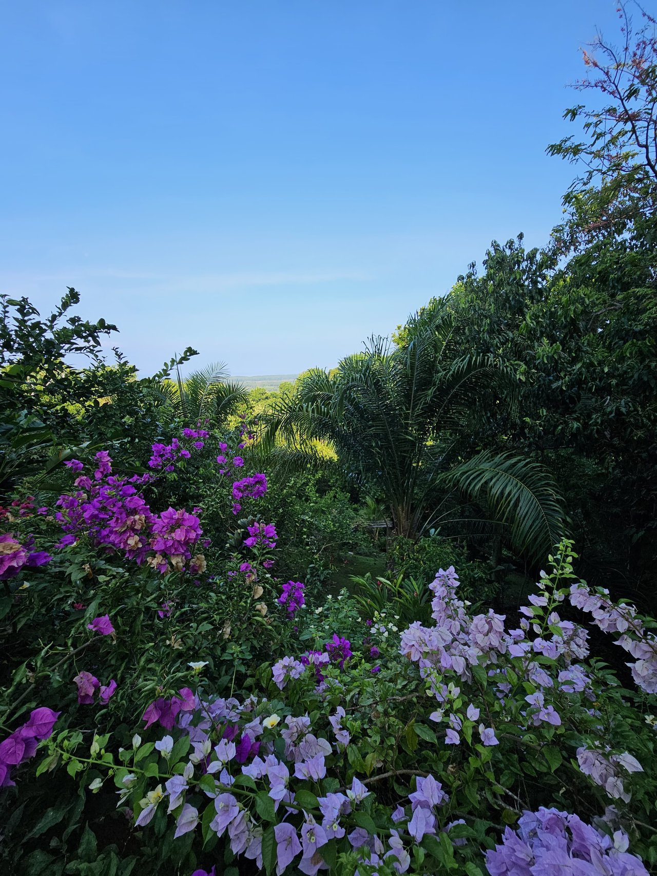 Beautiful sea view House Guesthouse and Pool in a gated Community close to awesome Beaches