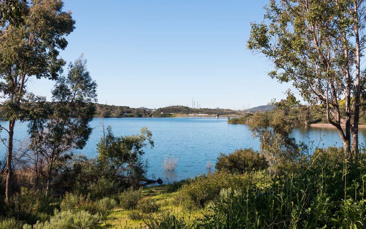 Lake framed by trees, with green shoreline and low hills in the distance.