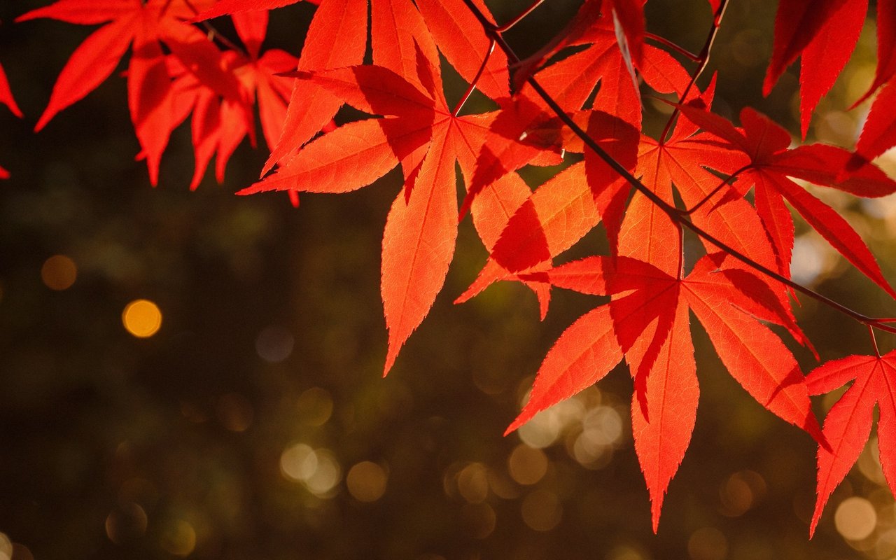 Supporting The East Bay This Fall