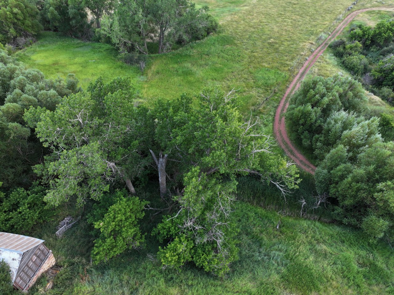 Dutch Creek Ranch 