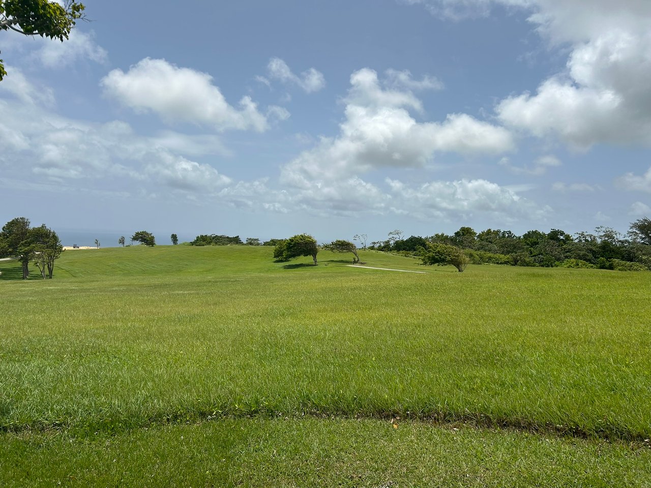 Apes Hill, Holders Meadow, H16