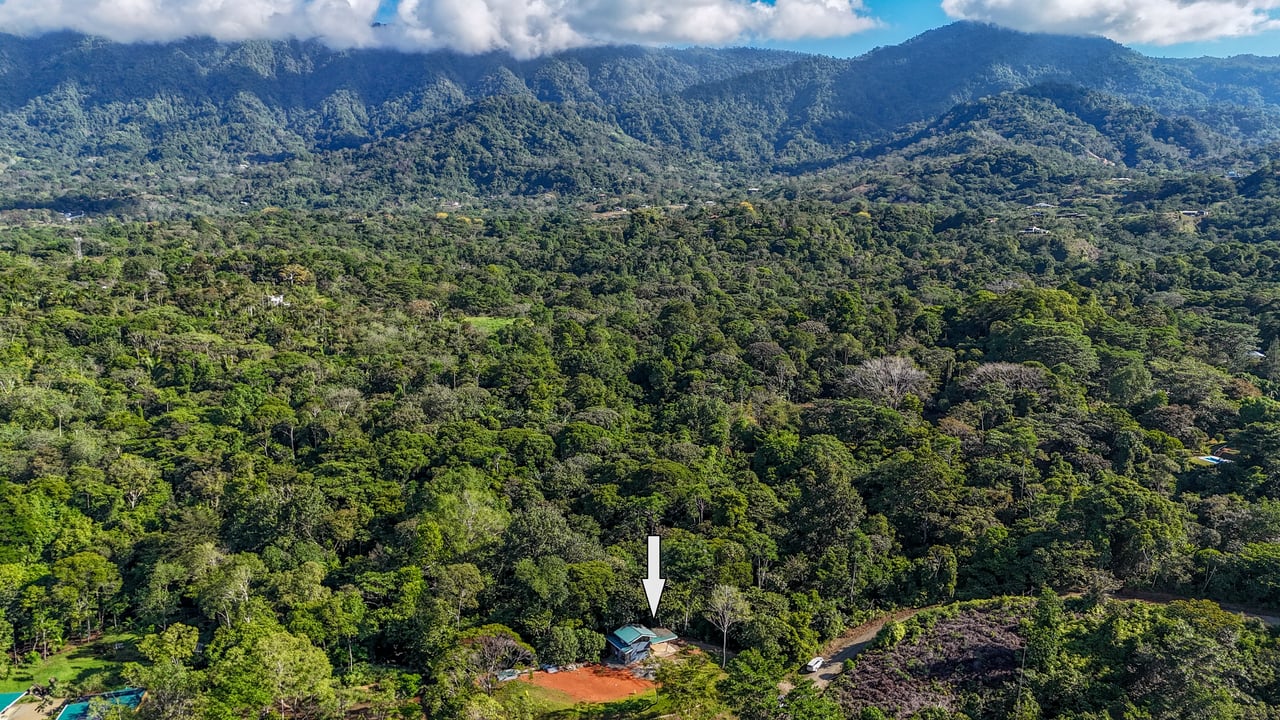 Jungle River Retreat with Airbnb & Build Space in Ojochal