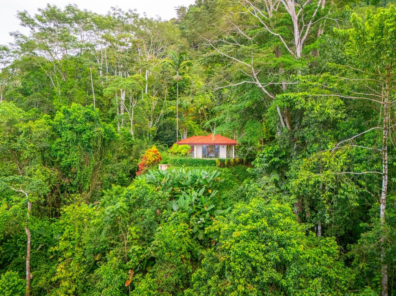 Ocean, jungle & mountain views on a meticulously landscaped 3-home family compound