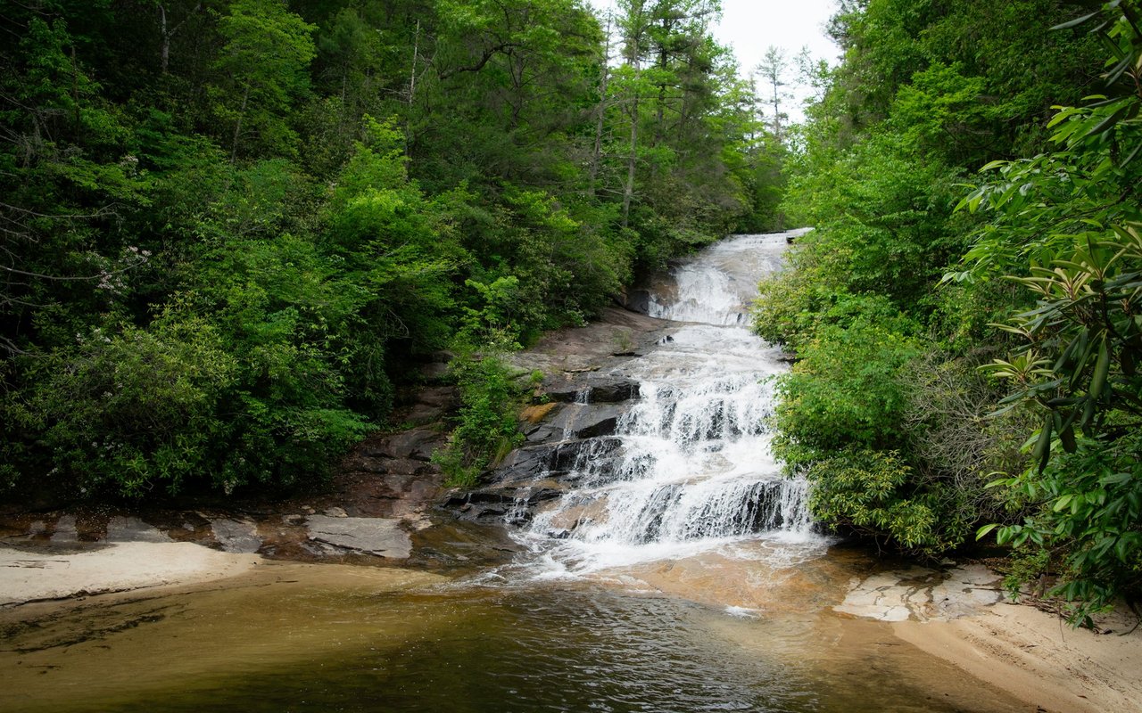 Brevard