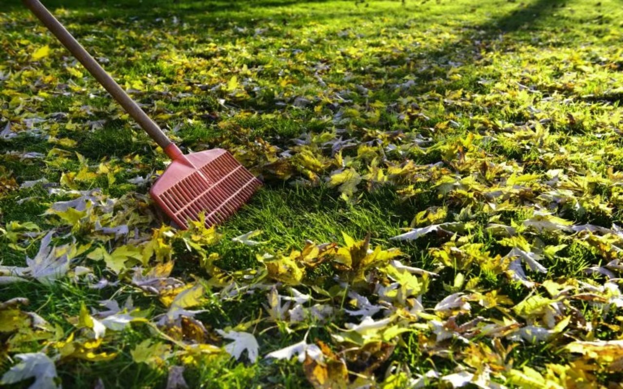 Time For Fall Property Maintenance
